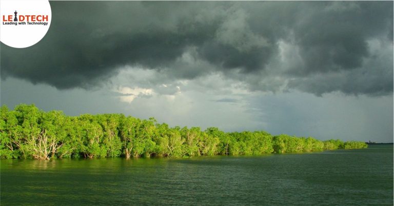 Can-Monsoon-be-a-game-changer-for-the-Indian-Economy-during-Covid-19