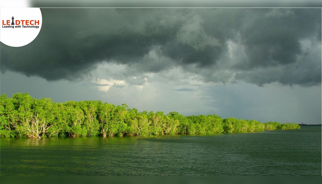 Can Monsoon be a game changer for the Indian Economy during Covid-19